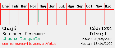 Estadisticas Estadisticas
