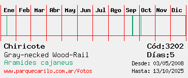 Estadisticas