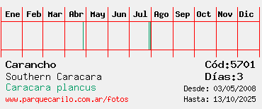 Estadisticas Estadisticas