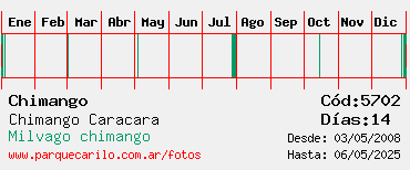 Estadisticas Estadisticas