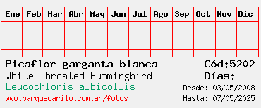 Estadisticas